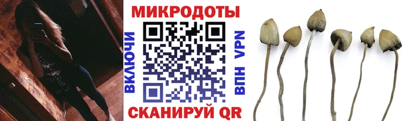 Галлюциногенные грибы прущие грибы  Боготол 
