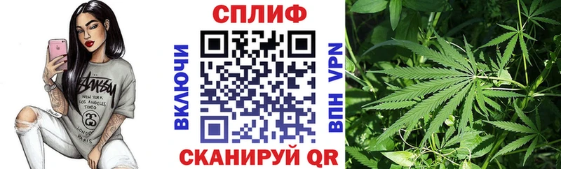дарнет шоп Боготол Каннабис тримм